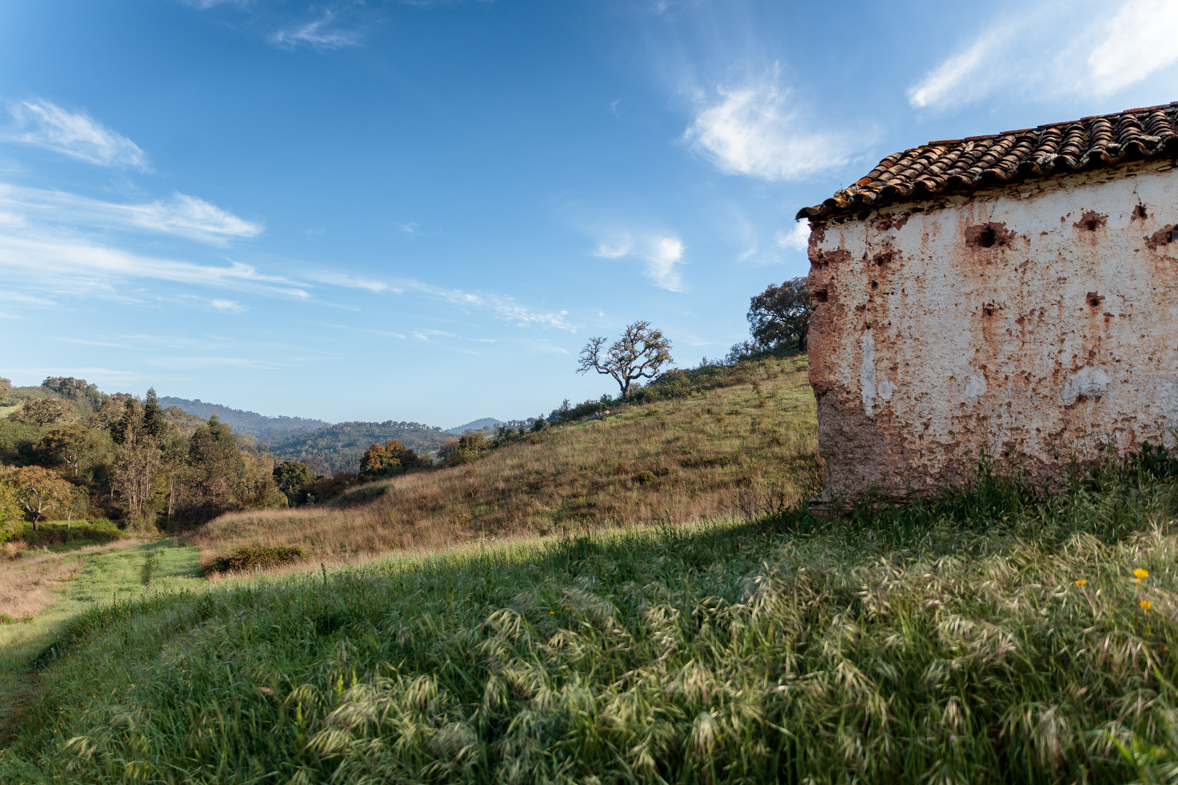 Vale de Corticas Benjamin Maltry MG 6093 // Fotografie //  7